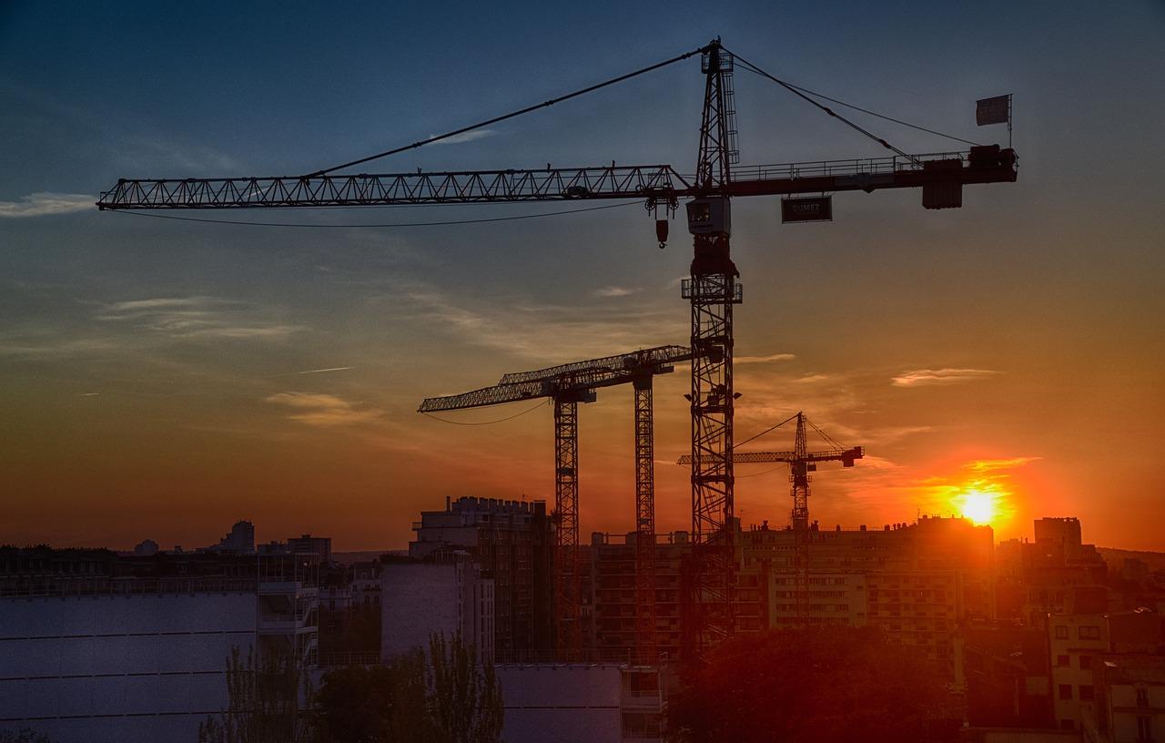 Image grue paris