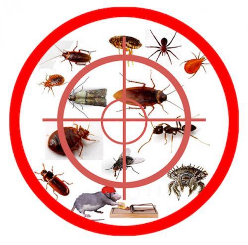 logo_final_copie_2.jpg